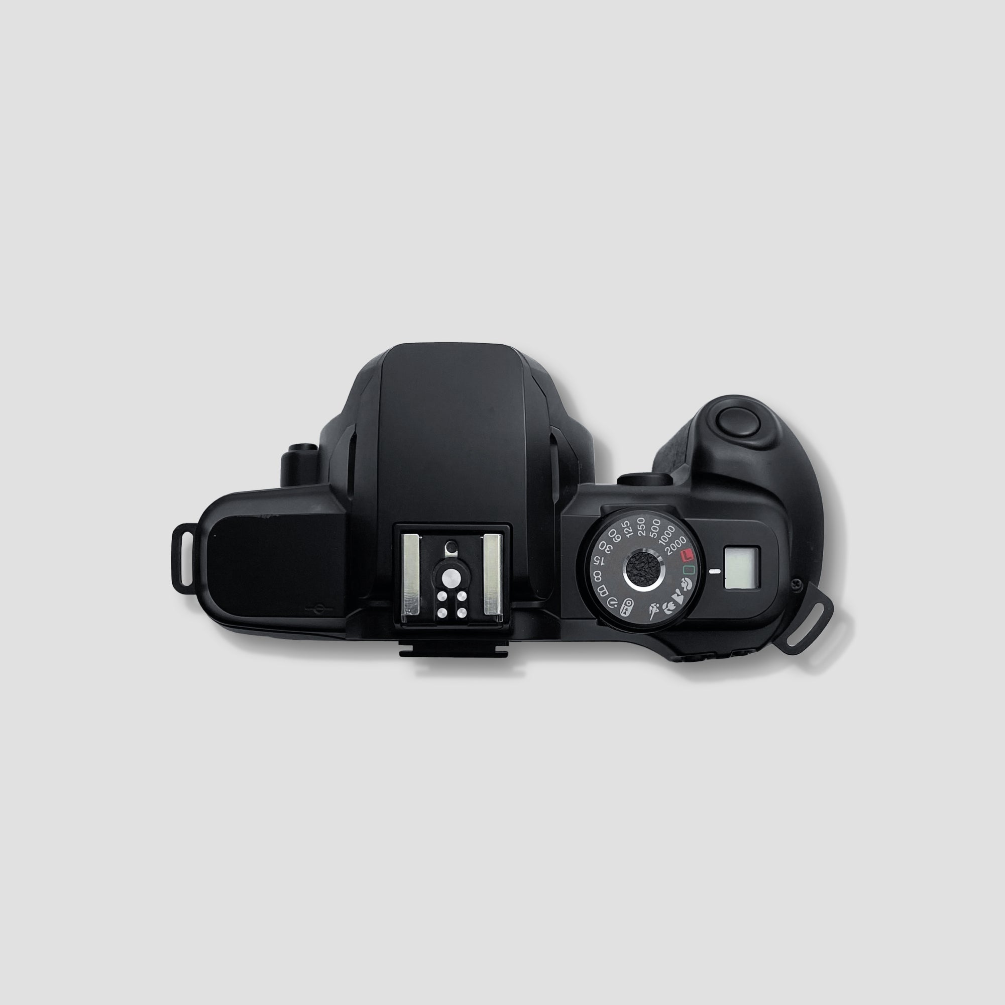 Canon EOS 5000 in action during a photography session, demonstrating its user-friendly design.