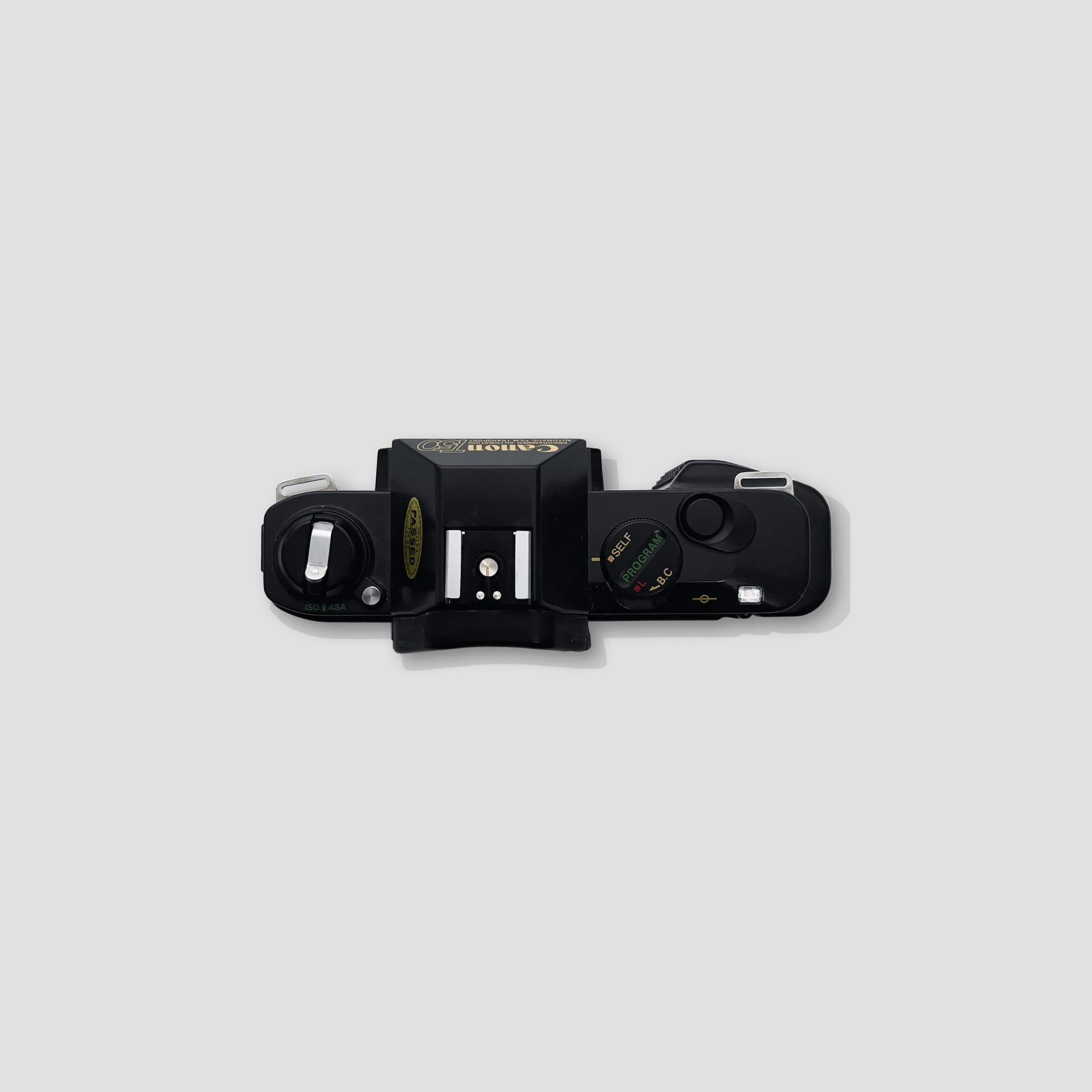 Canon T50 in action at an outdoor event, highlighting its portability and ease of use.