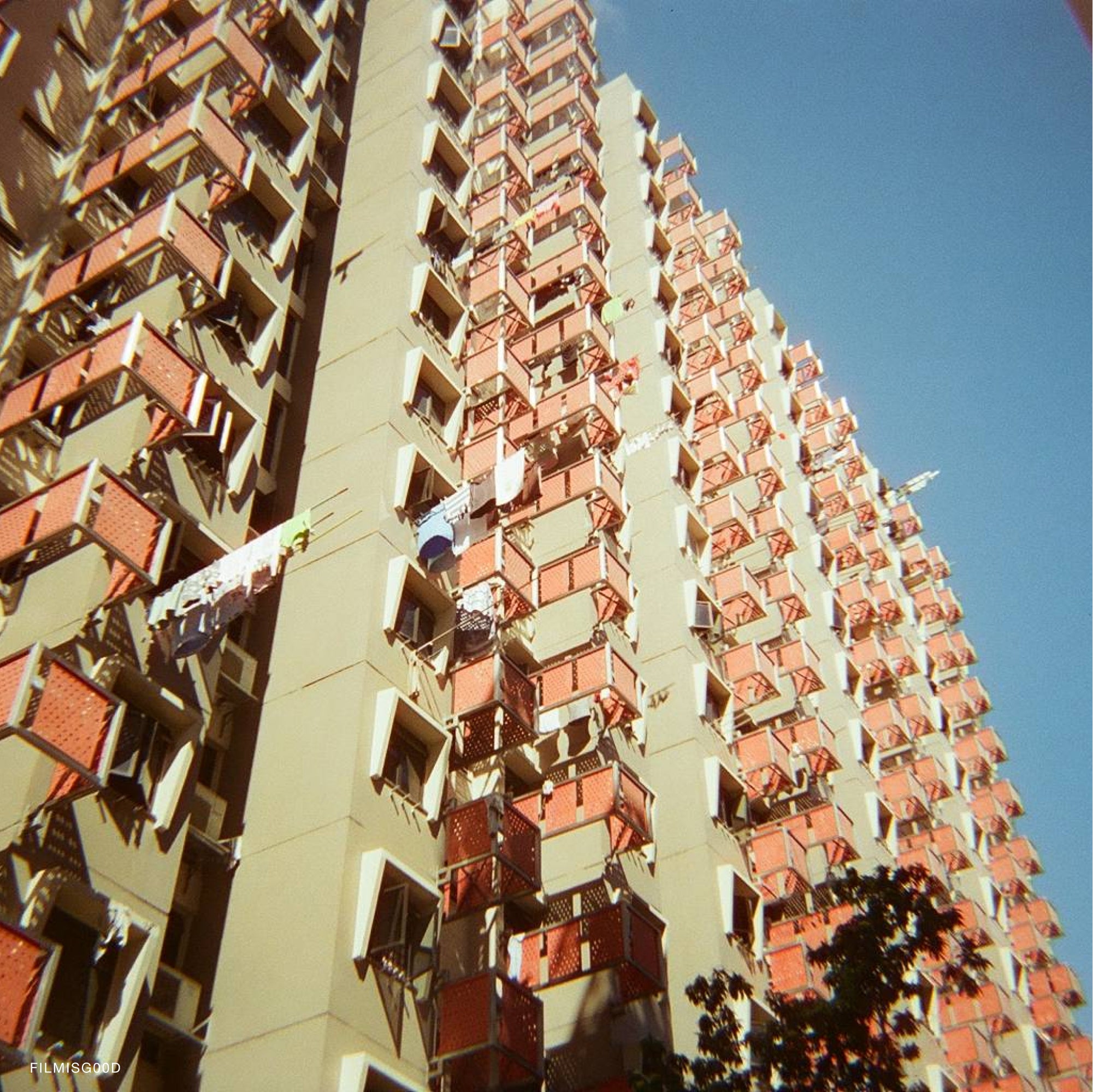 Sora 200D color film roll against a bright sky, highlighting its daylight photography capabilities.