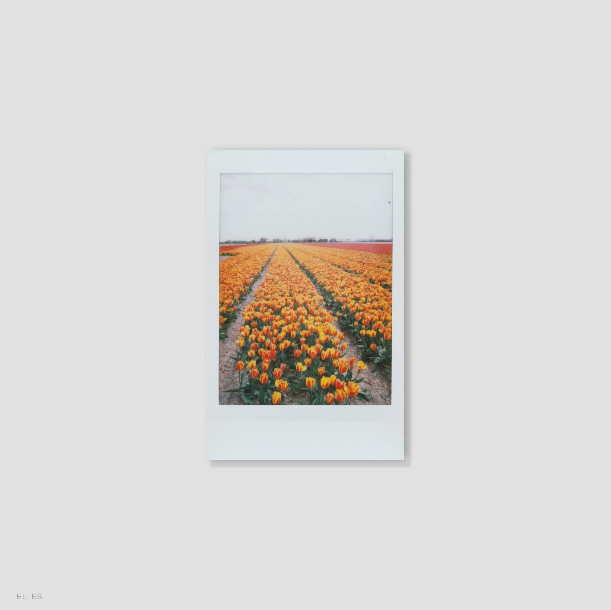 Traveler placing an Instax Mini photo into a scrapbook – ideal for travel photography