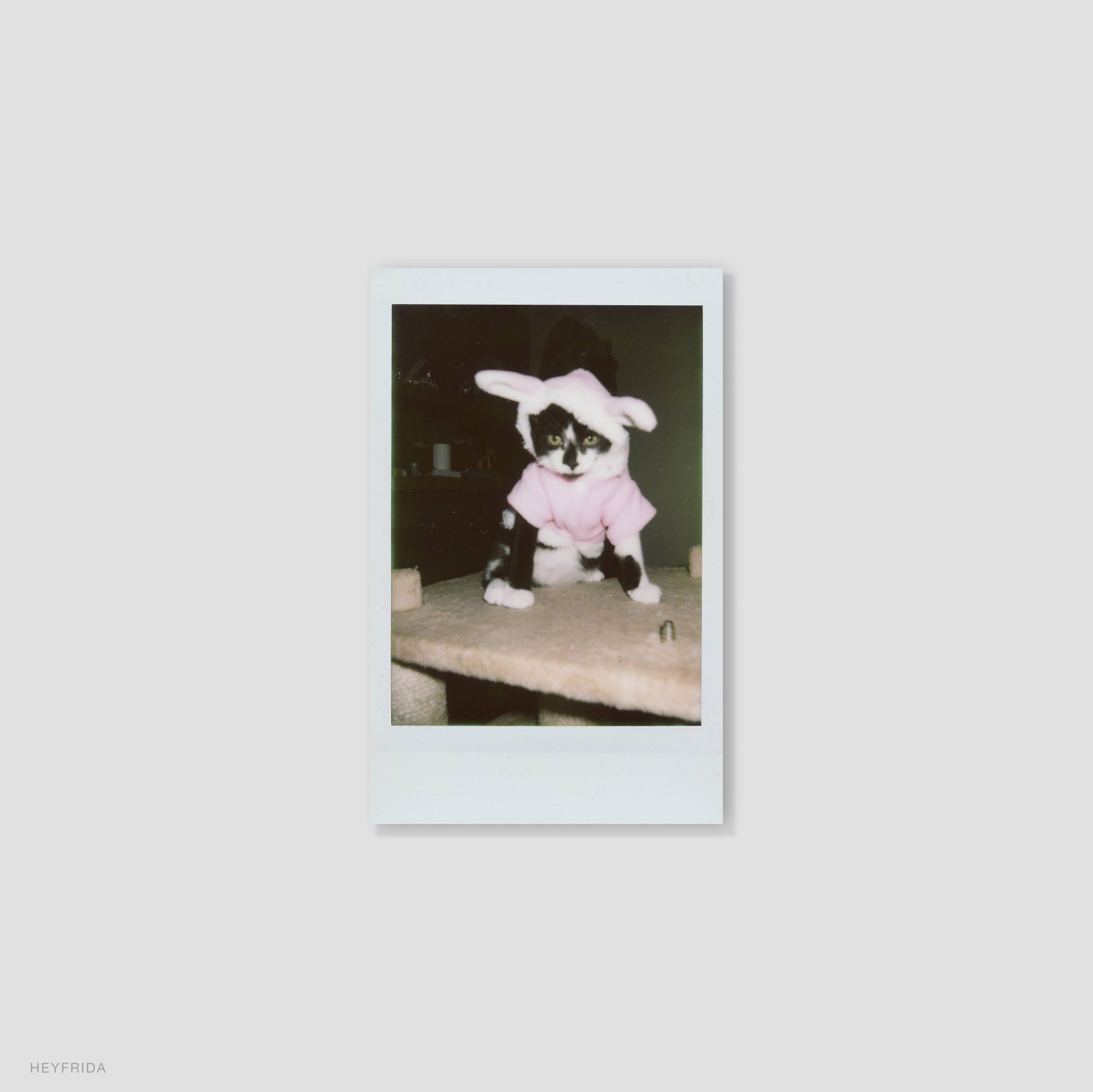 Close-up of vibrant printed images from instant film pack shot in natural light