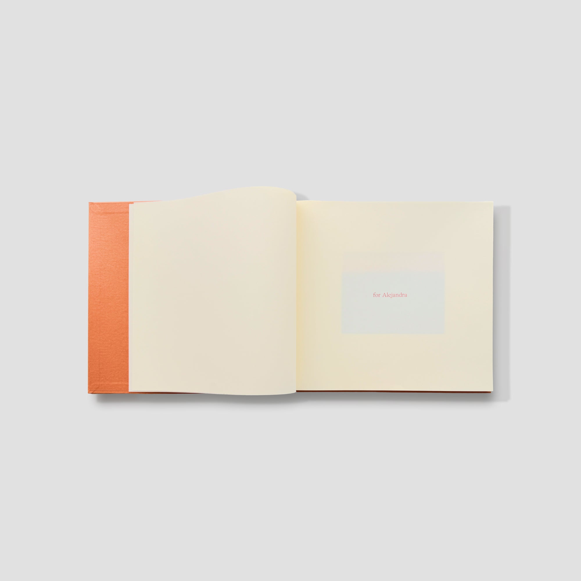 Interior page showcasing a hand-printed map by Alejandra Ortiz.