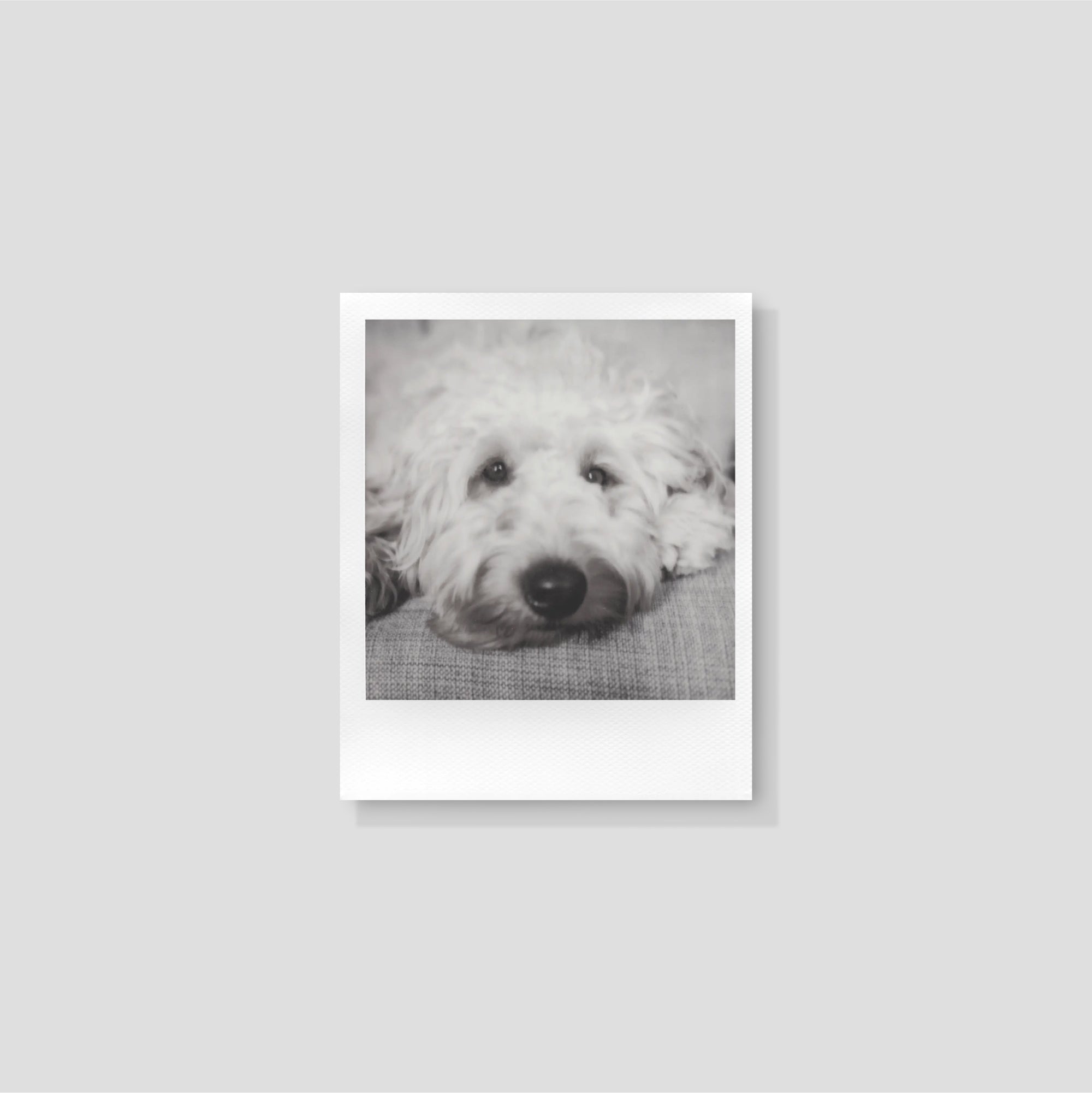 Close-up of a Polaroid camera using black and white 600 film, demonstrating its compatibility and ease of use.