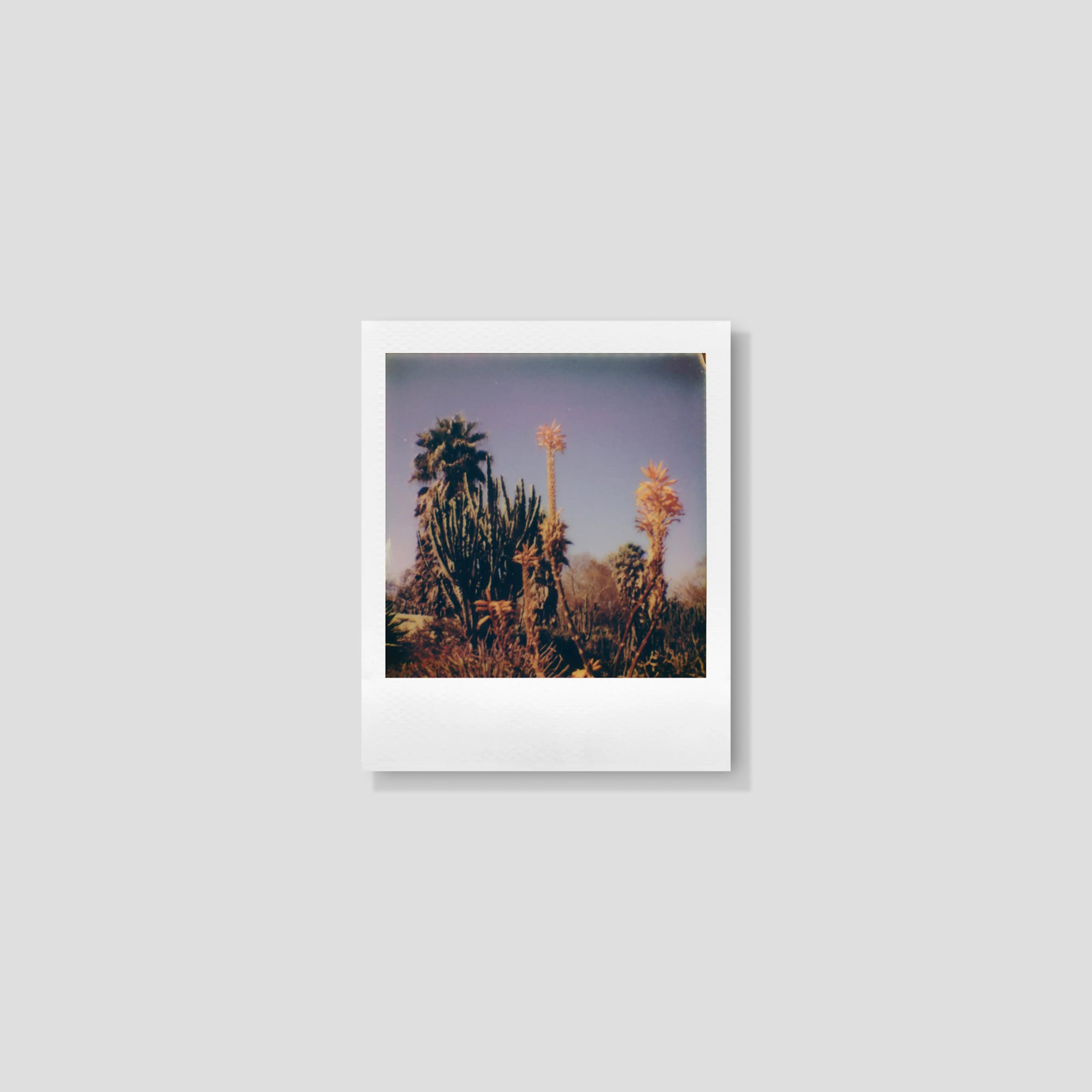 Close-up of Polaroid Go film with 16 small frames, perfect for instant photos