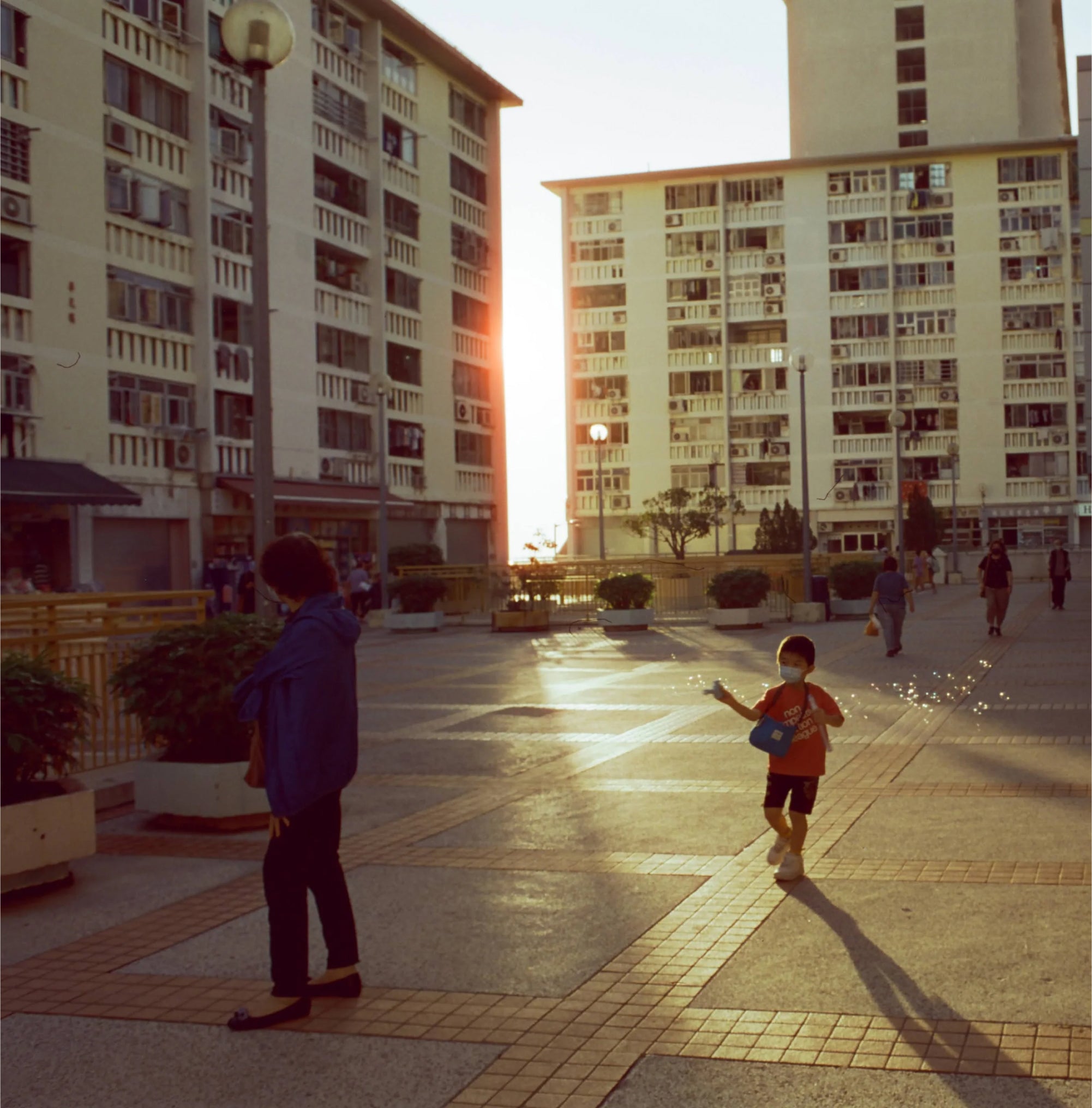 Developed slide film image with rich saturation and sharp details