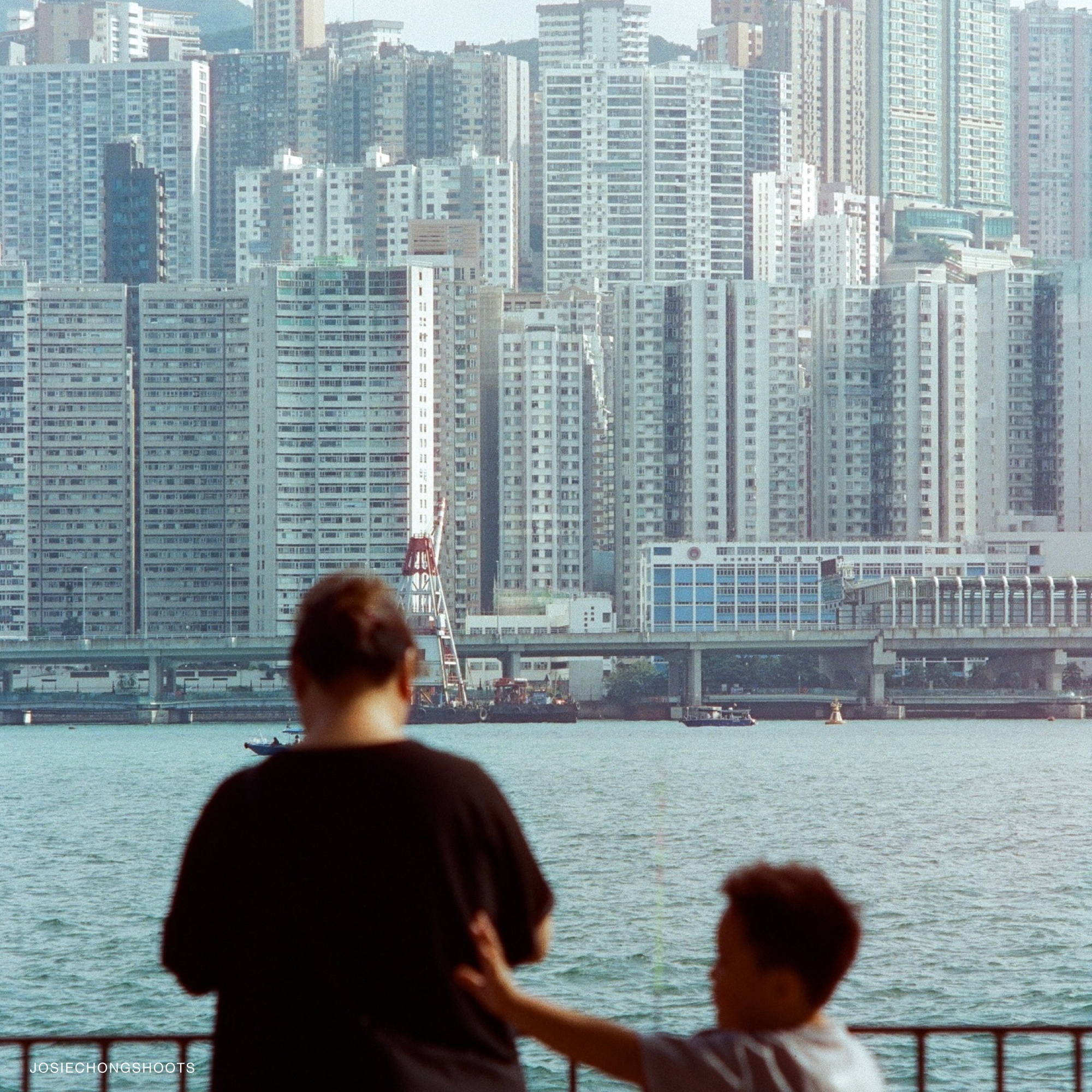 Photographer using Reflx Lab 400D film in outdoor setting