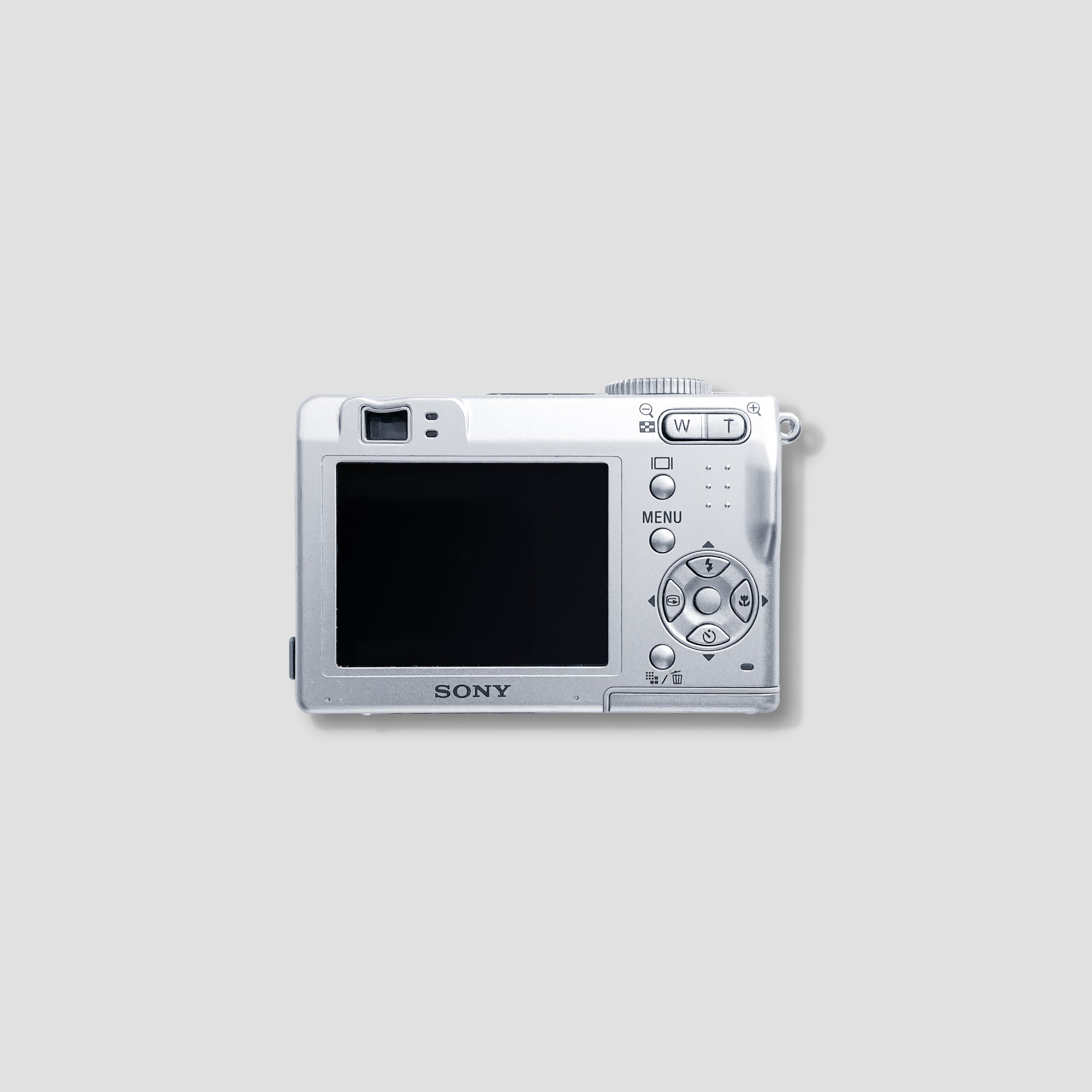 User capturing stunning outdoor photography with the Sony Cybershot DSC-W5.