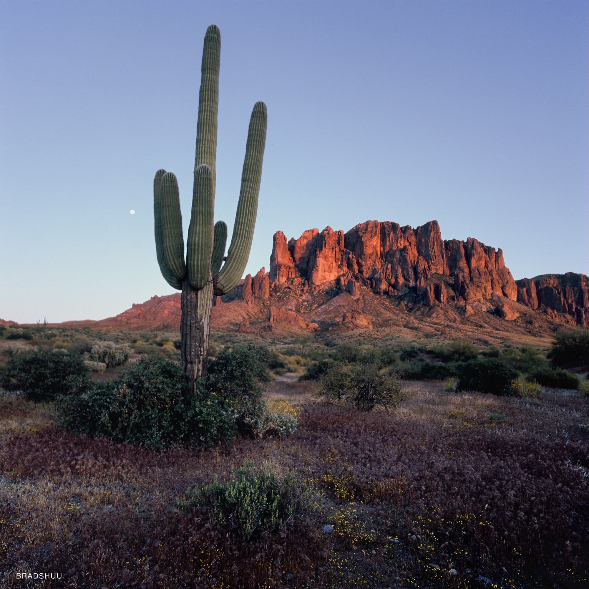 Kodak Ektachrome E100 slide film in a natural landscape setting, highlighting its sharpness and rich tones.