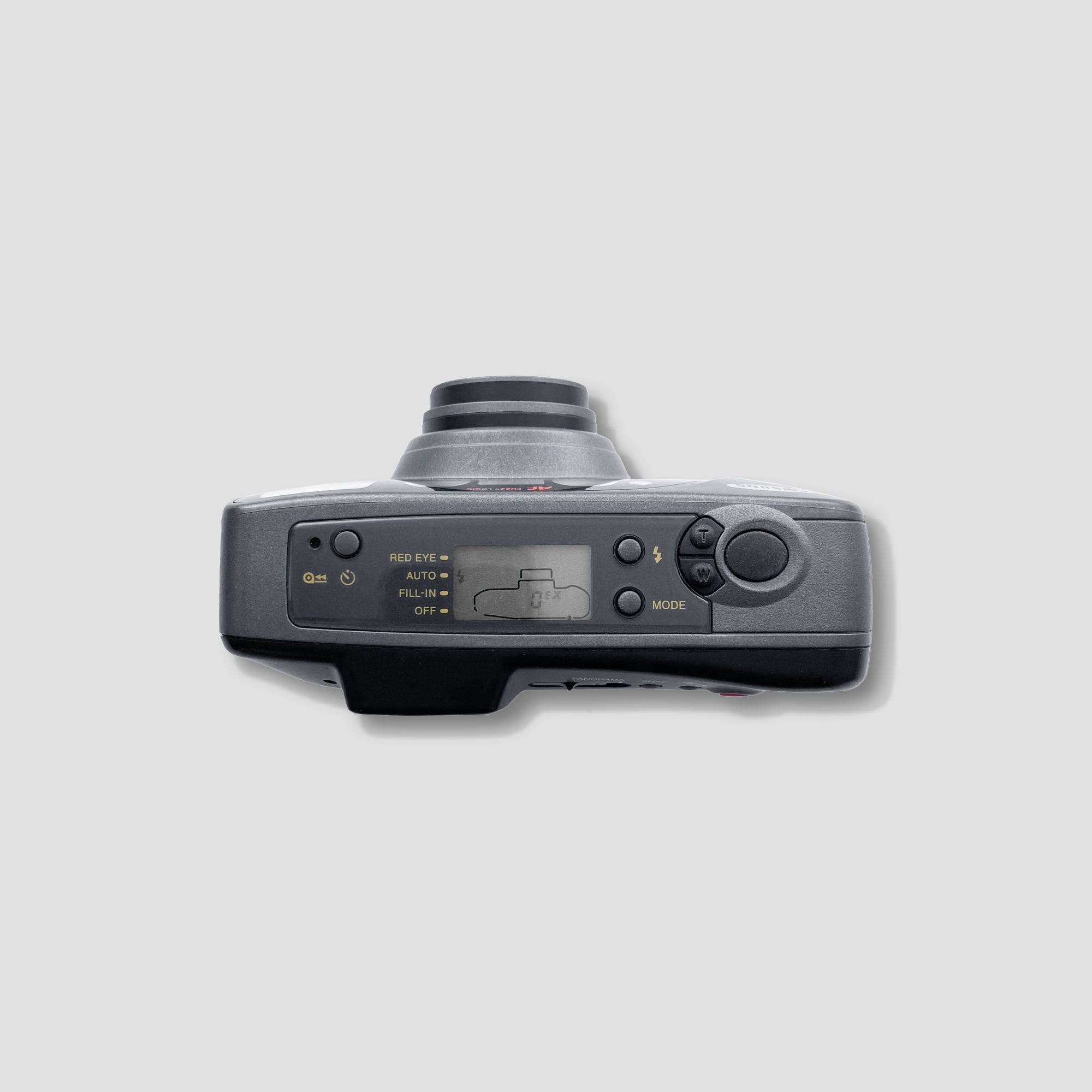 Samsung Slim Zoom 290WS in use at a casual outdoor event, capturing vivid moments.